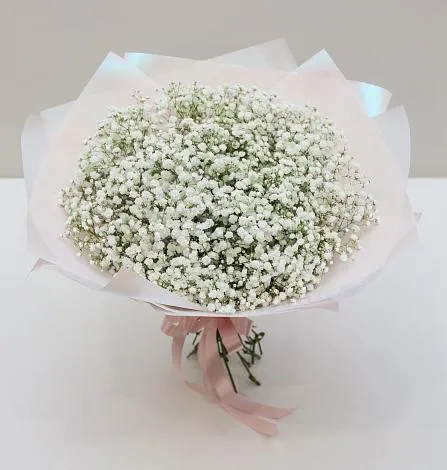 Белый снежок