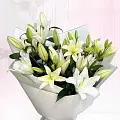 Лилии Лилии