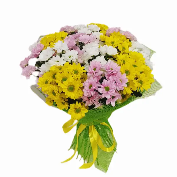 Разноцветная ромашка