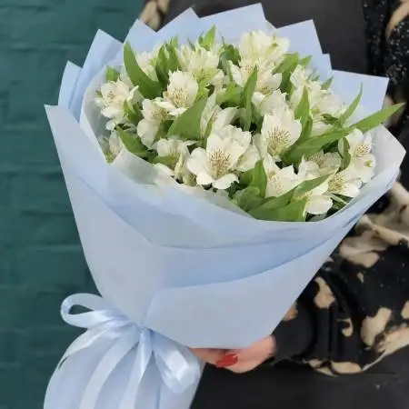 Букет из 9 белых альстромерий